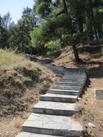 Diese Stufen führen dich hinauf bis zur Akropolis. 